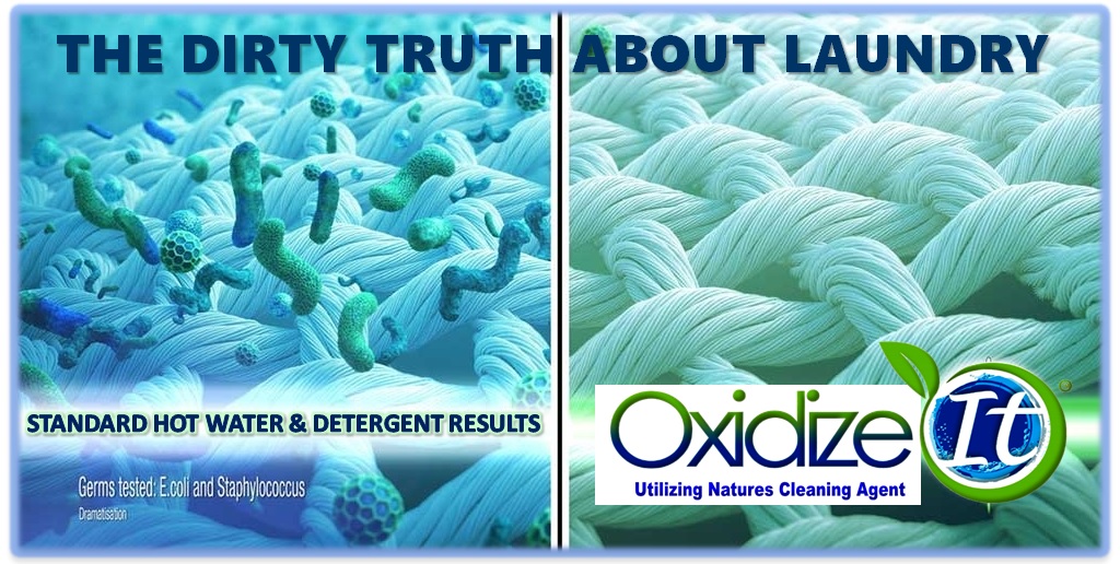 An AllNatural Way to Disinfect & Clean Your Clothes Blue Marble